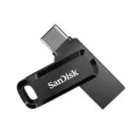 SanDisk SDDDC3-256G-G46