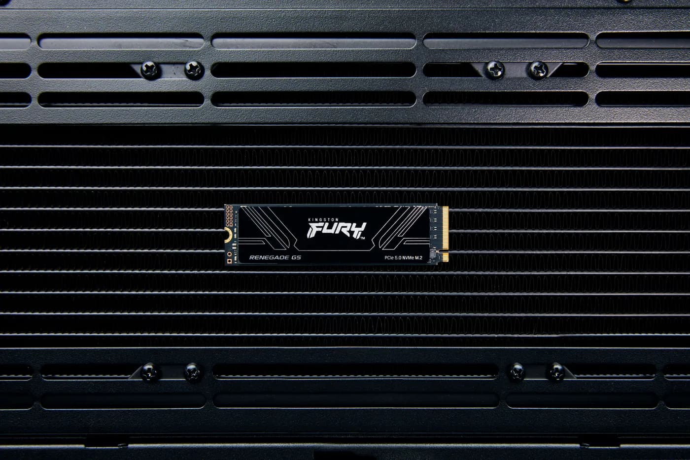 Kingston Technology FURY Renegade G5 1 TB M.2 PCI Express 5.0 NVMe 3D  7