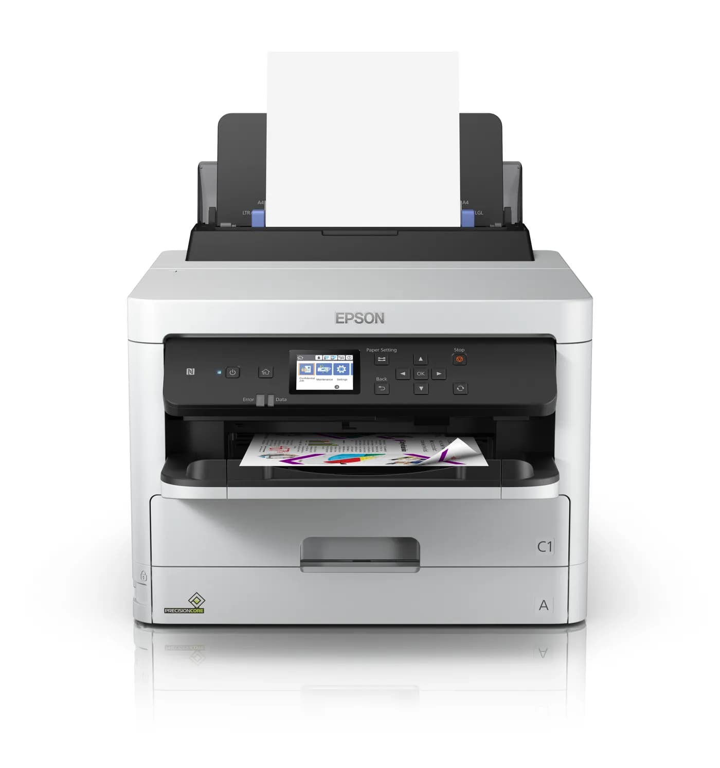 Epson Supp T01C300