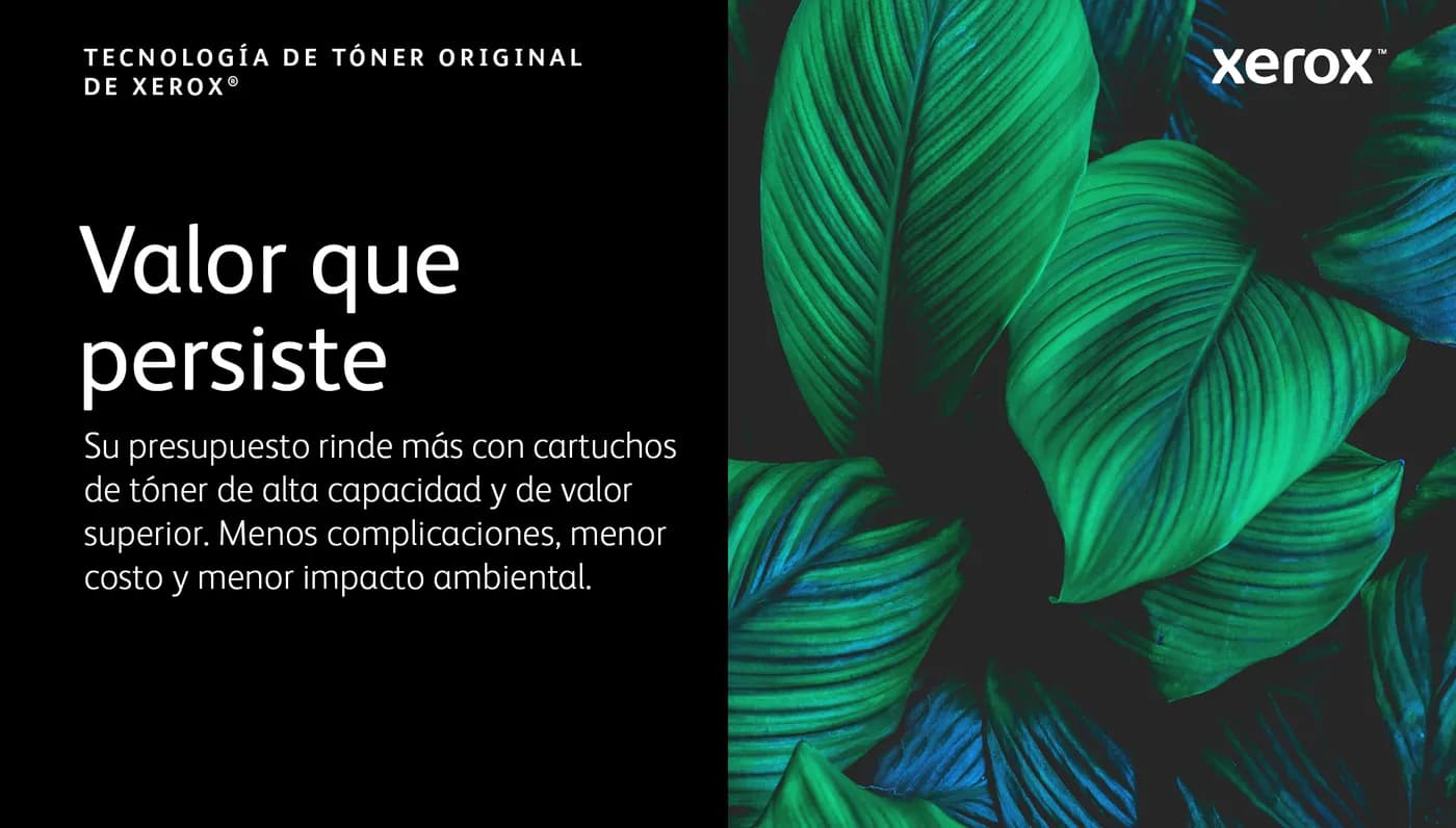 Xerox 006R04677 cartucho de tóner 1 pieza(s) Original Negro 2