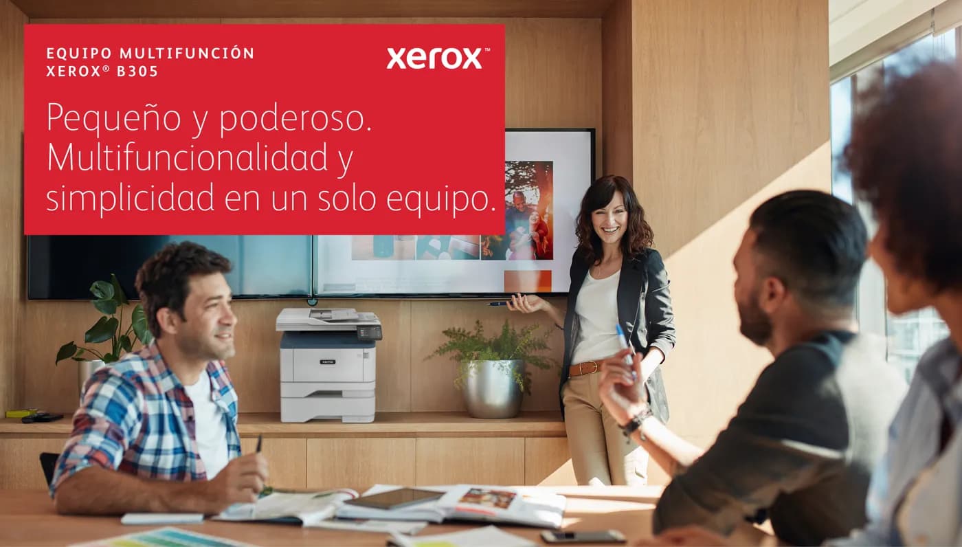 Xerox B305V_DNI Impresora multifunción Laser A4 2400 x 2400 DPI 38 ppm 12