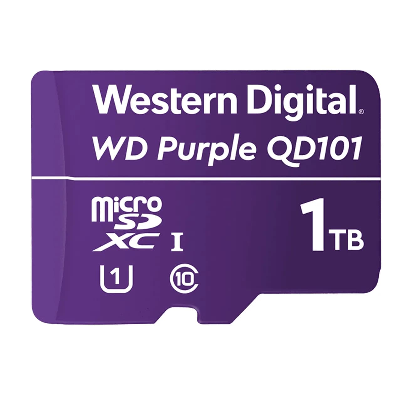 SanDisk WDD100T1P0C