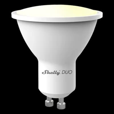 Shelly SHELLYDUOGU10