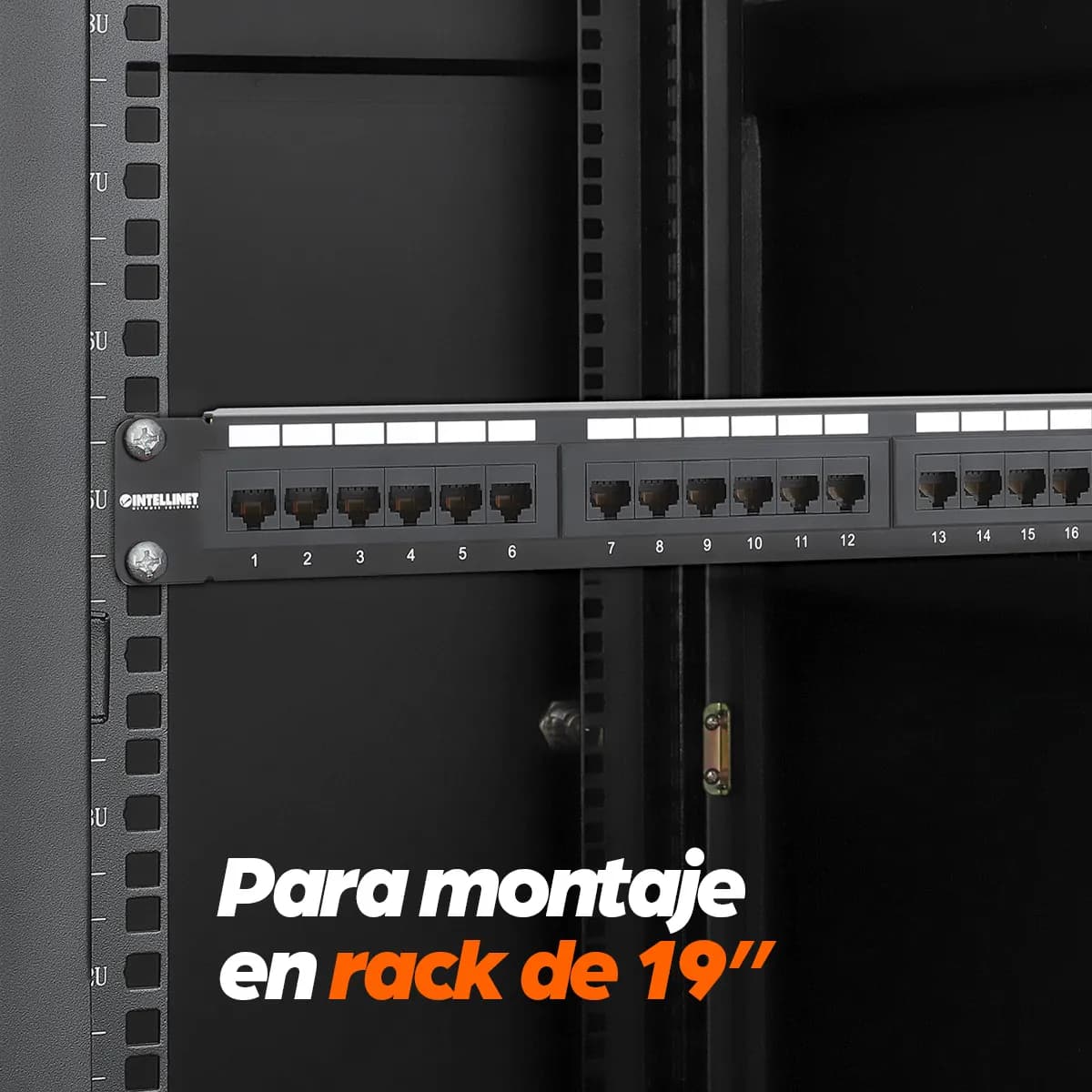 Intellinet Panel de Parcheo Cat6 5