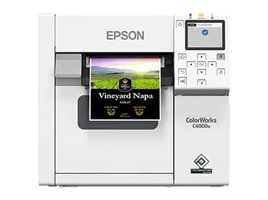 Epson C31CK03101