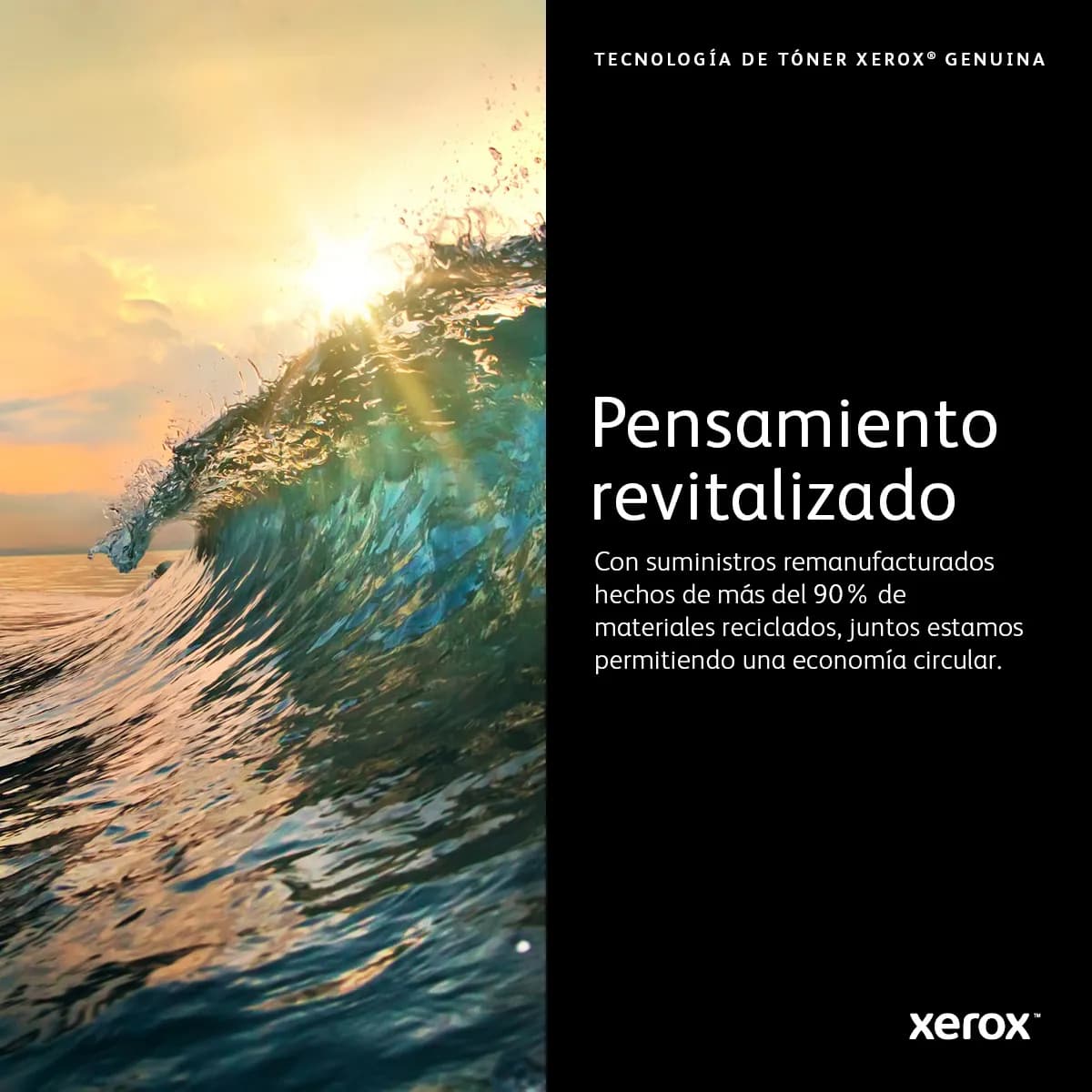 Xerox 006R04387 cartucho de tóner 1 pieza(s) Original Negro 10