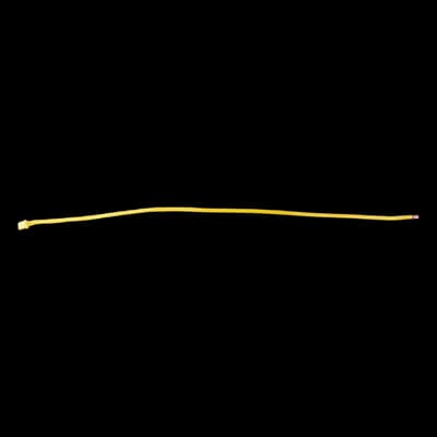 AccessPRO 2PINCABLE