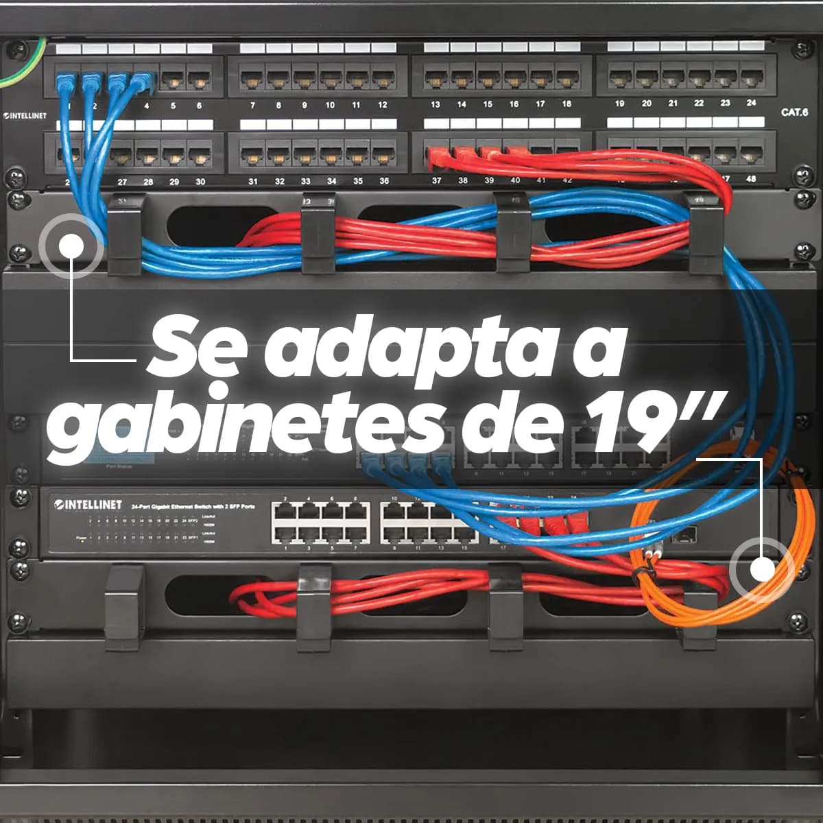 Intellinet Panel Administrador de Cable 19" 1 U, 4 arillos plásticos c 6