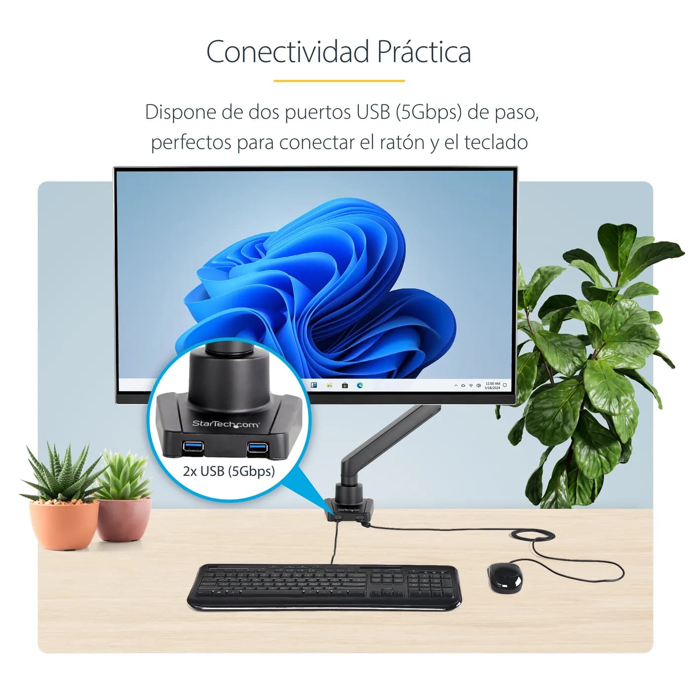 StarTech.com ARMSLIM2USB3 soporte para pantalla plana 86.4 cm (34") Es 9