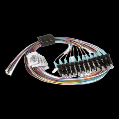Panduit FZTBN1NNNSZM001