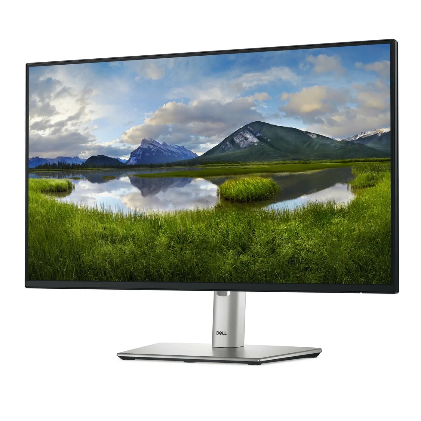 DELL Pro Plus P2425H monitor de computadora 60.5 cm (23.8") 1920 x 108 2