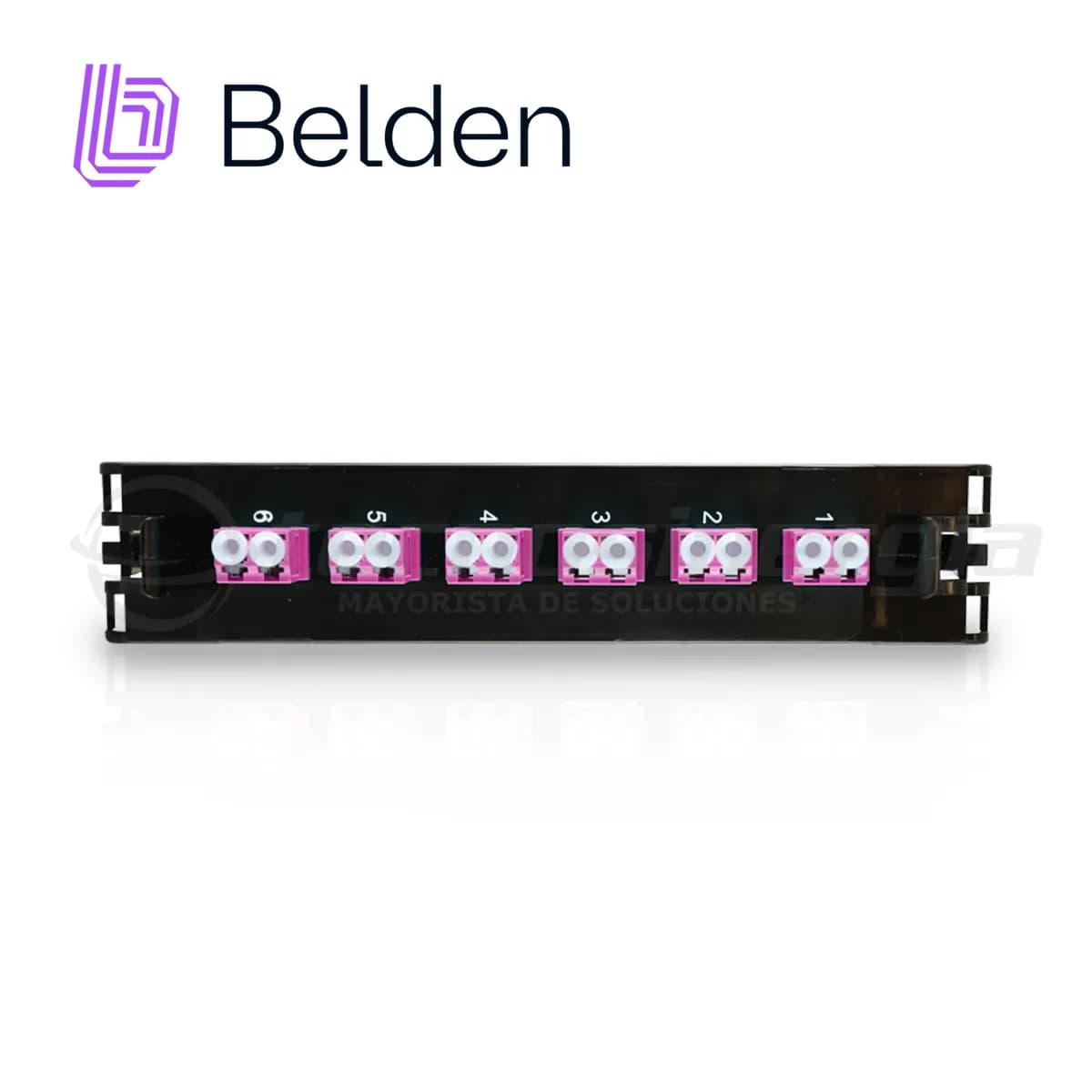 FRAME FX ECX MULTIMODO BELDEN FF4X06LD / OM4 / ERIKA VIOLETA / LC DUPL 2