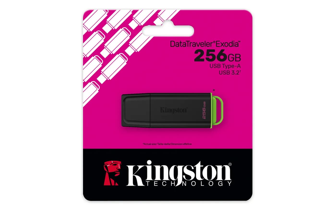 Kingston Technology DataTraveler Exodia unidad flash USB 256 GB USB ti 5